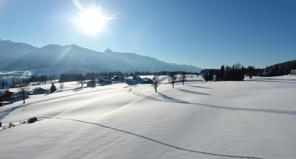 Chalet Findeisen Ramsau am Dachstein Ngoại thất bức ảnh